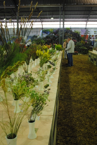 Display of local flowering plants with identification labels