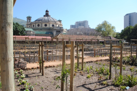 The newly renovated vegetable garden 