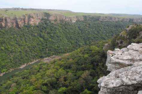 View into the Umtamvuna gorge 