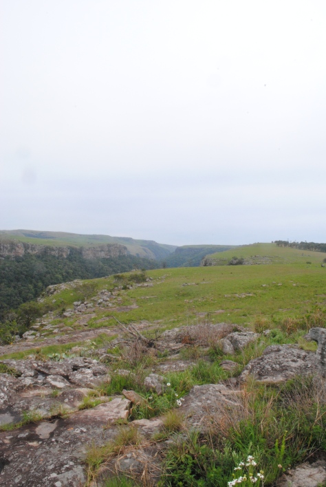 High grasslands flanking the gorges and the contrasting forests bellow 