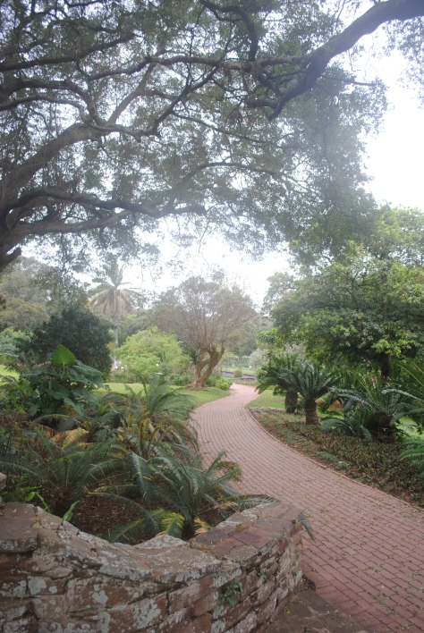 ndering path through the cycad collection