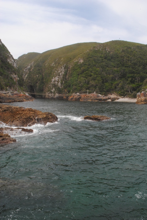 Storms River Mouth – Observe the clear delineation between forest on the right and its abrupt transition to Fynbos vegetation farther upslope