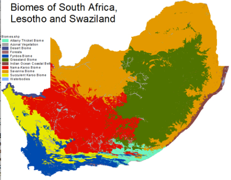South Africa Bioregions 