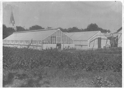 1925 (circa) Glasshouses