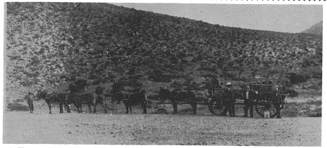 Hans Herre on a donkey cart expidition to Bankfntein near Stinkfontein in the Richtersveld