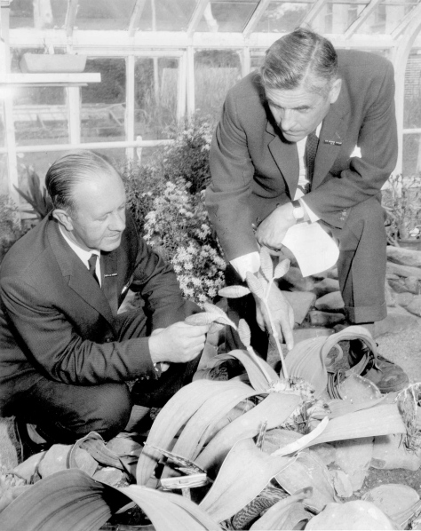 1963 - Prof Rycroft and Sir George Taylor