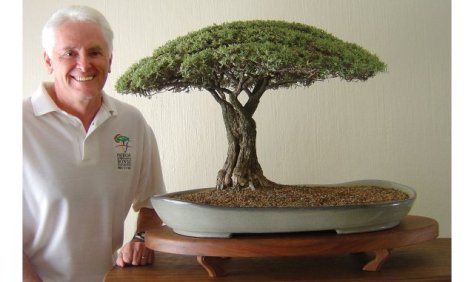 This Buddleja saligna is done in the pierneef style of Bonsai (one of Africas unique bonsai forms) and has been judged as one of the top 100 bonsais of the world outside Japan 